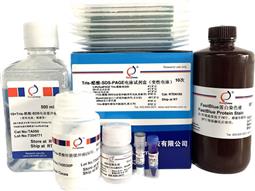 Tris-醋酸-SDS-PAGE電泳試劑盒（變性電泳，含預(yù)制膠）