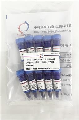 5×MonoColor蛋白上樣緩沖液（單染料，變性，還原，無氣味）