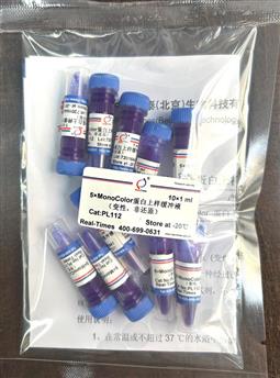 5×MonoColor 蛋白上樣緩沖液 (變性，非還原)